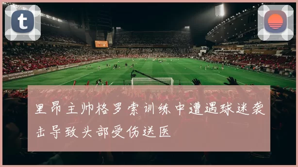 里昂主帅格罗索训练中遭遇球迷袭击导致头部受伤送医
